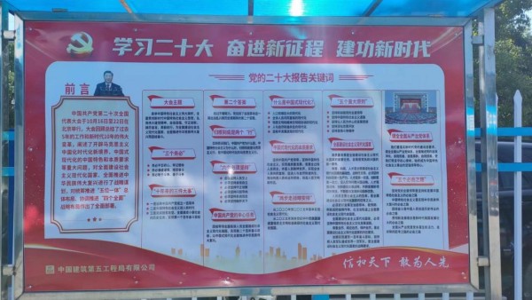 圖片 11