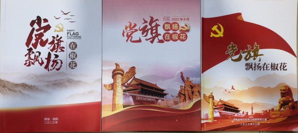 圖片 13