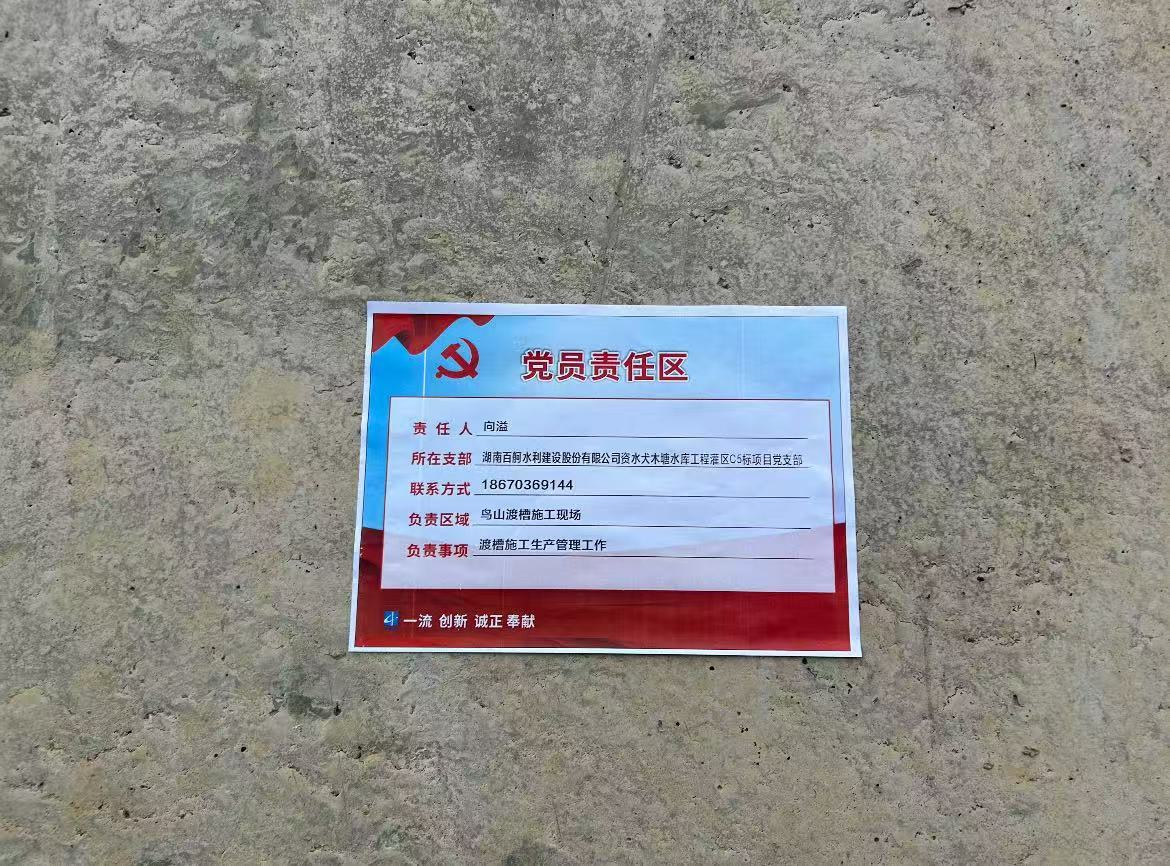 圖片 8