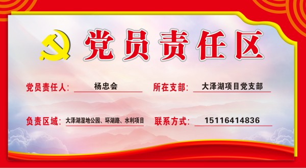 圖片 12