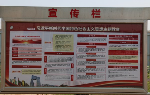 圖片 15